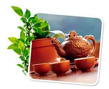 Монастырский чай от табачной зависимости