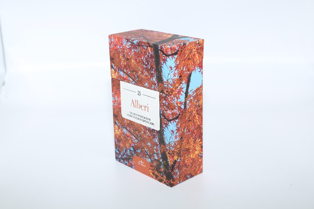 广州包装盒印刷厂- 设计+印刷 快速上手